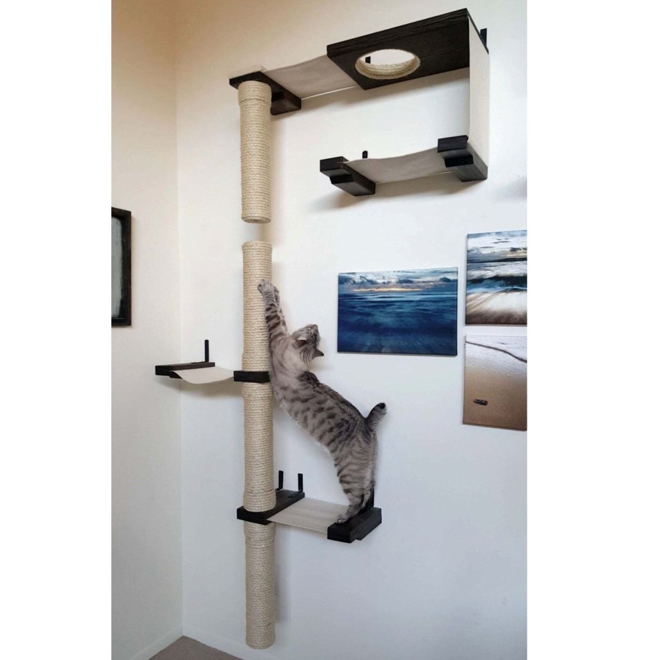 Настенные системы для кошек