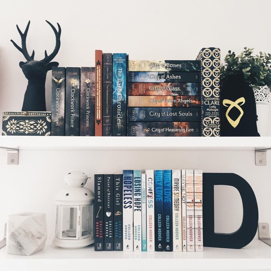 Полка с книгами Эстетика