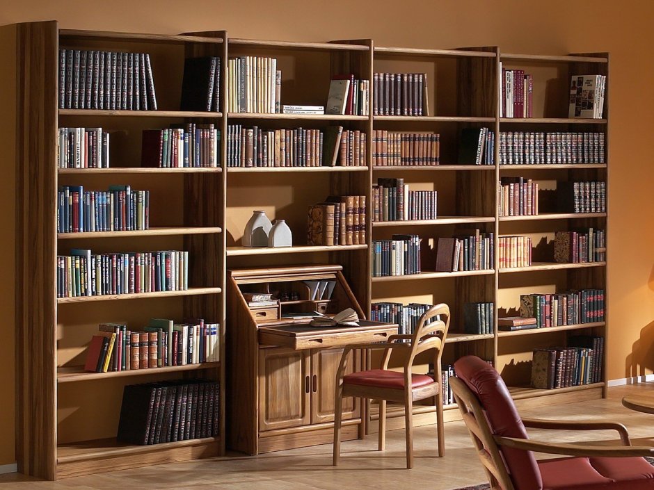 Книжные шкафы для домашней библиотеки