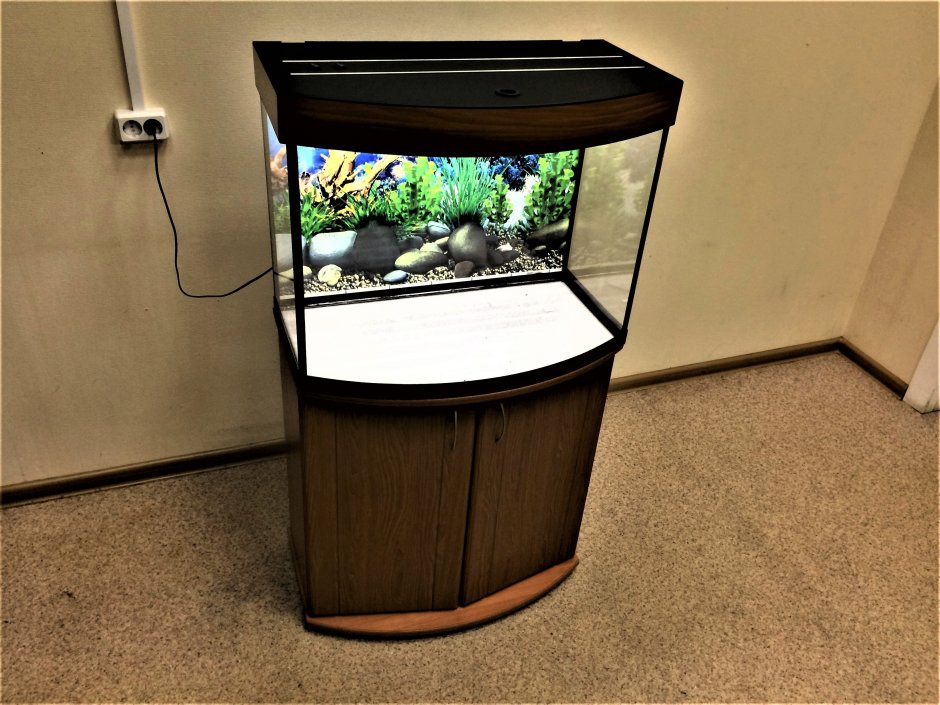 Угловой аквариум 240 литров
