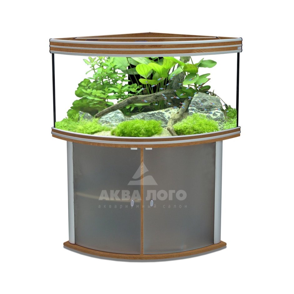 Угловой аквариум с тумбой на 200 литров