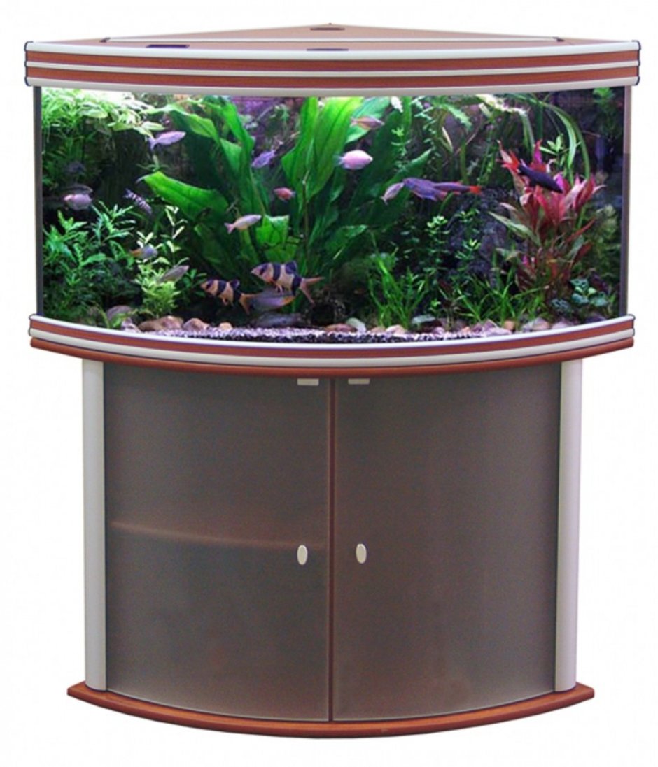Аквариум Биодизайн Диарама 90