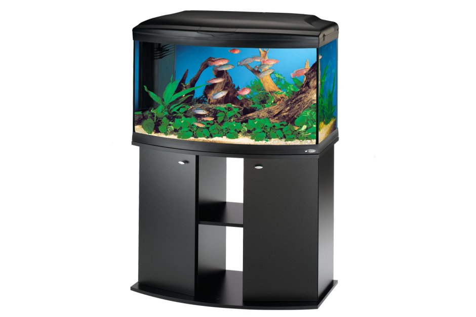 Аквариум Голдфиш 350 литров с тумбой