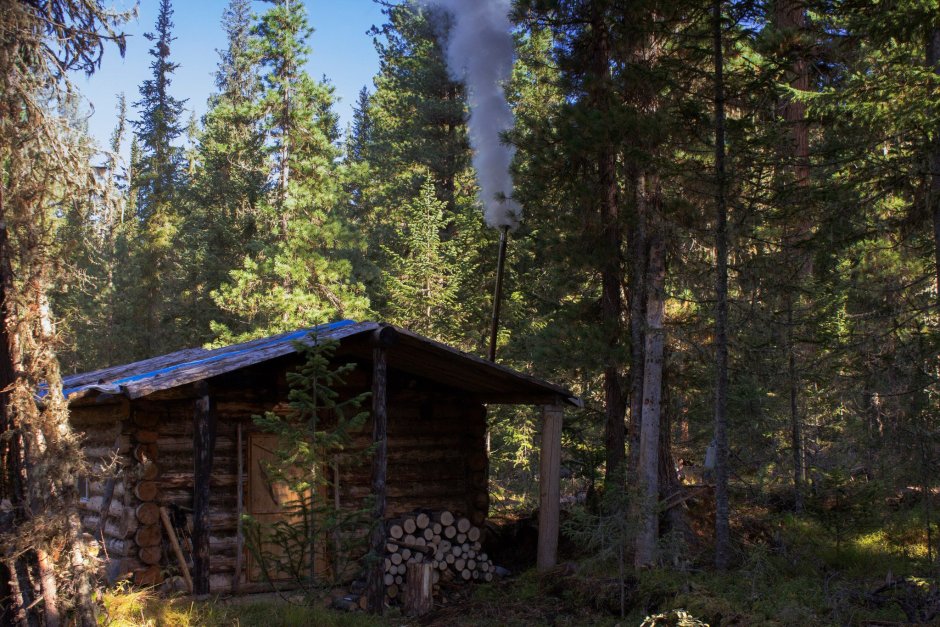 Охотничий домик в лесу