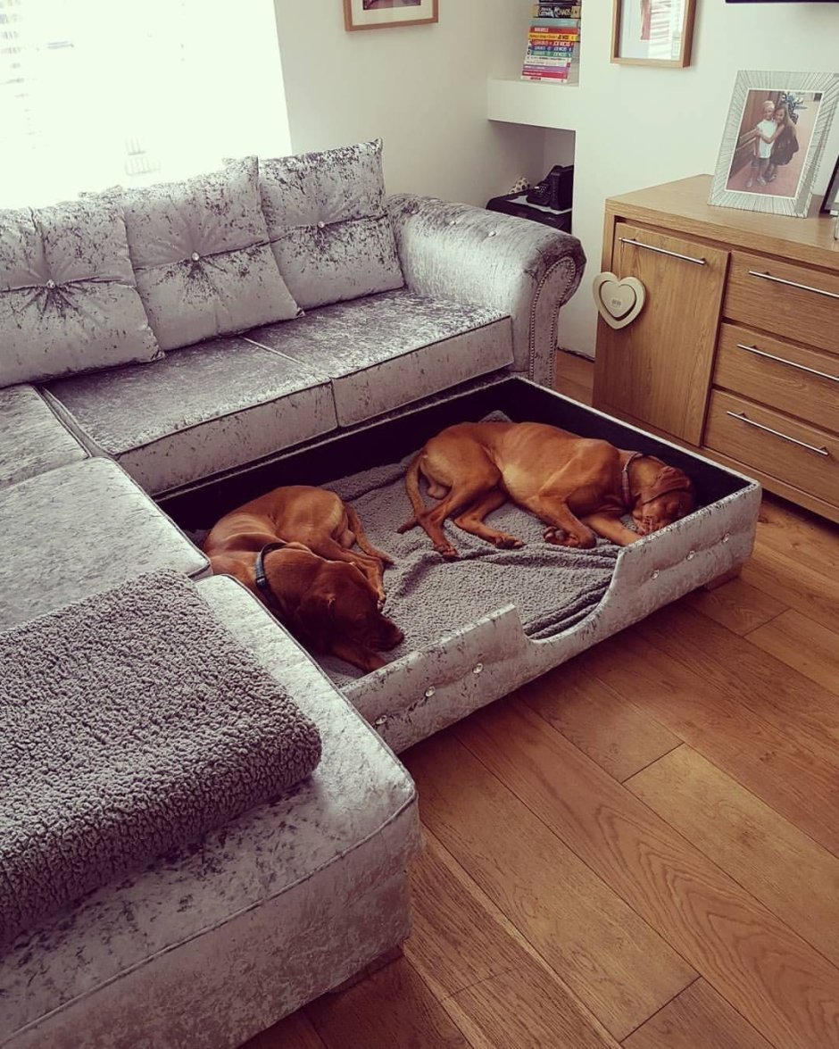 Уютный место для собаки