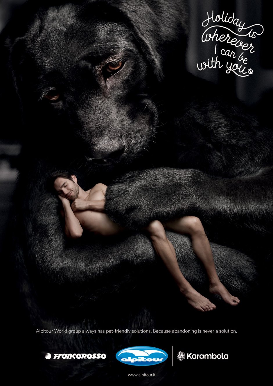 Уютный дом с собакой