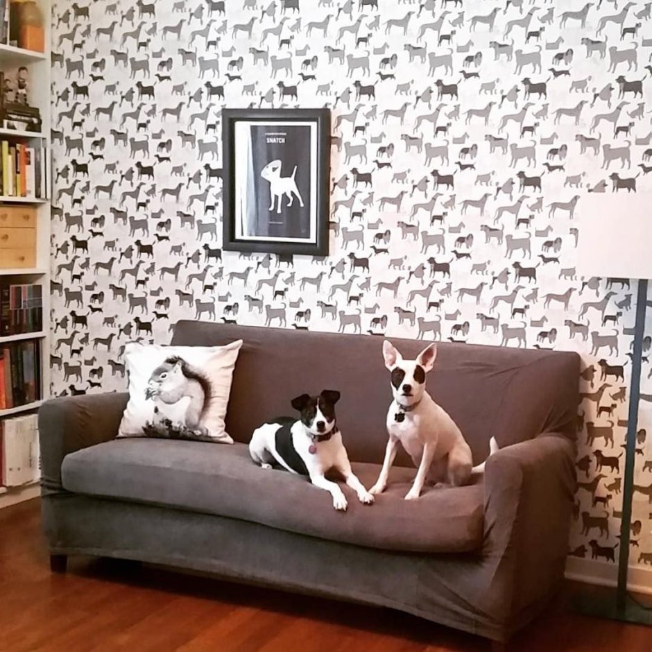 Комната в стиле собак
