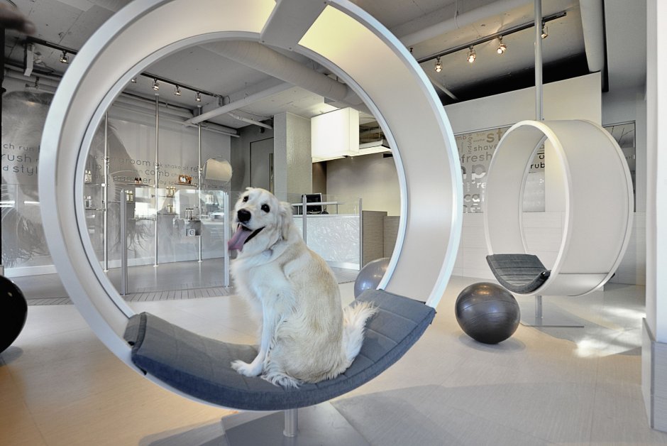 Комната для питомцев