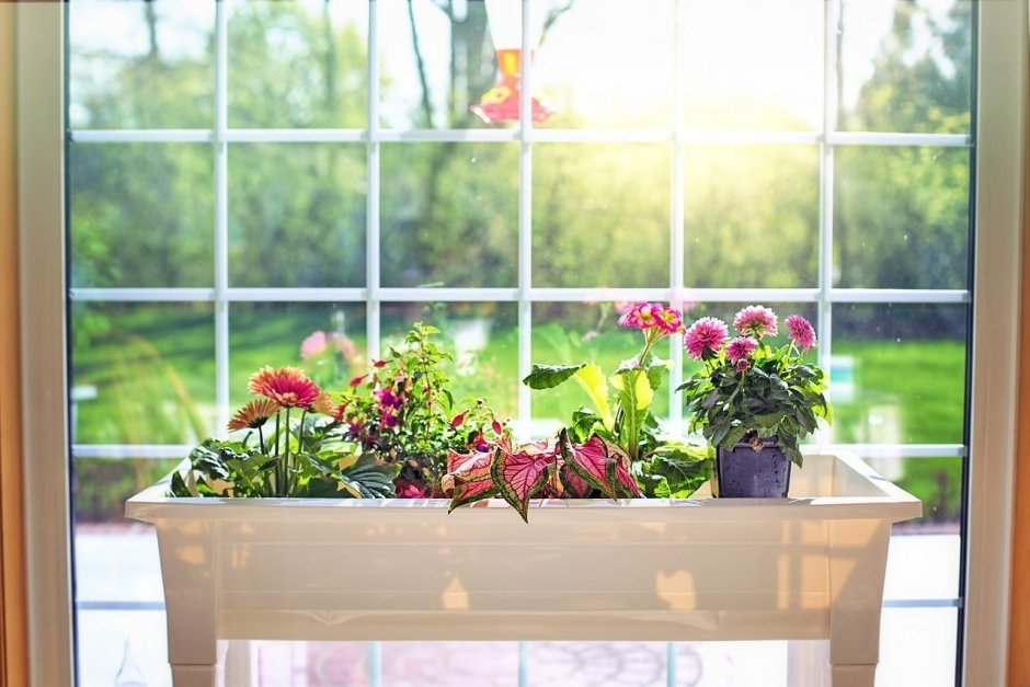 Кухонное окно с видом на сад