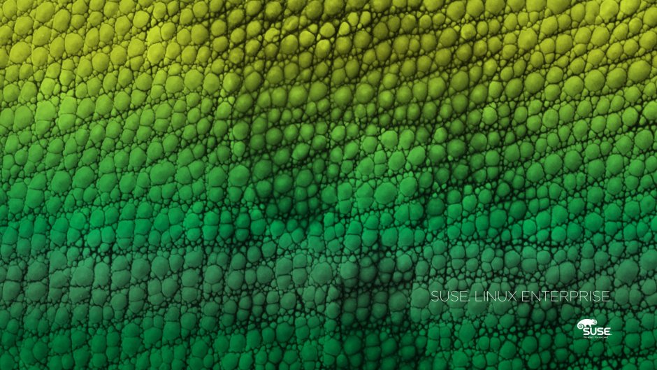 Кожа хамелеона под микроскопом