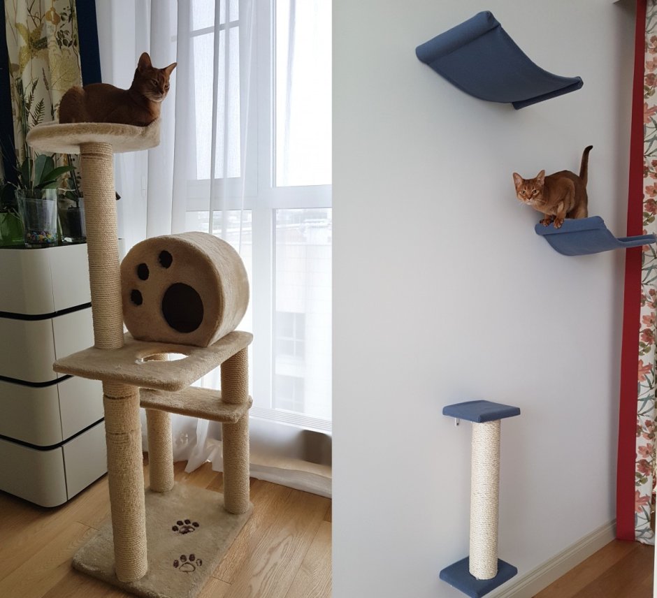 Meyou Paris мебель для кошек