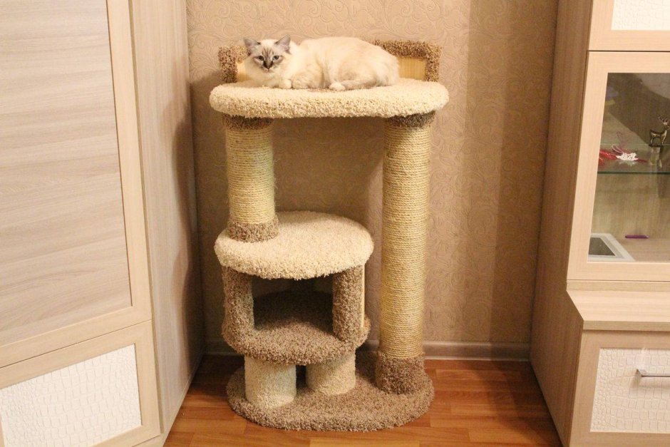 Дом лазалка для кошки