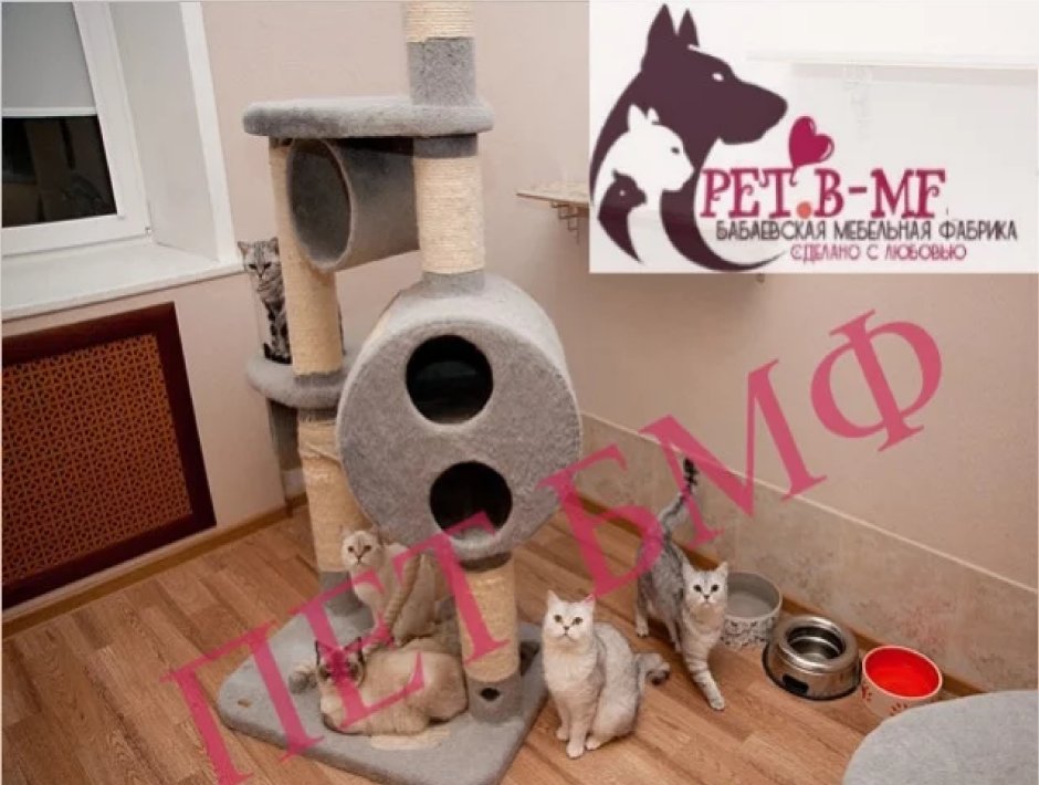 Интересные кошачьи домики