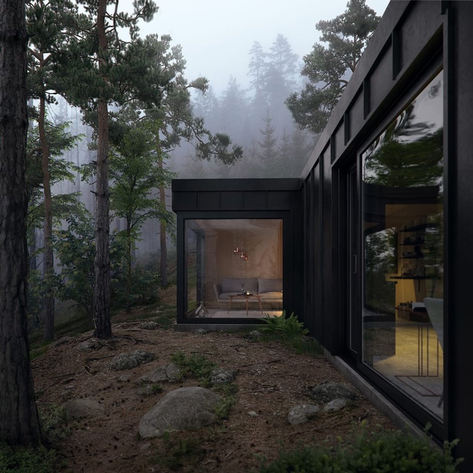 Черный дом в лесу
