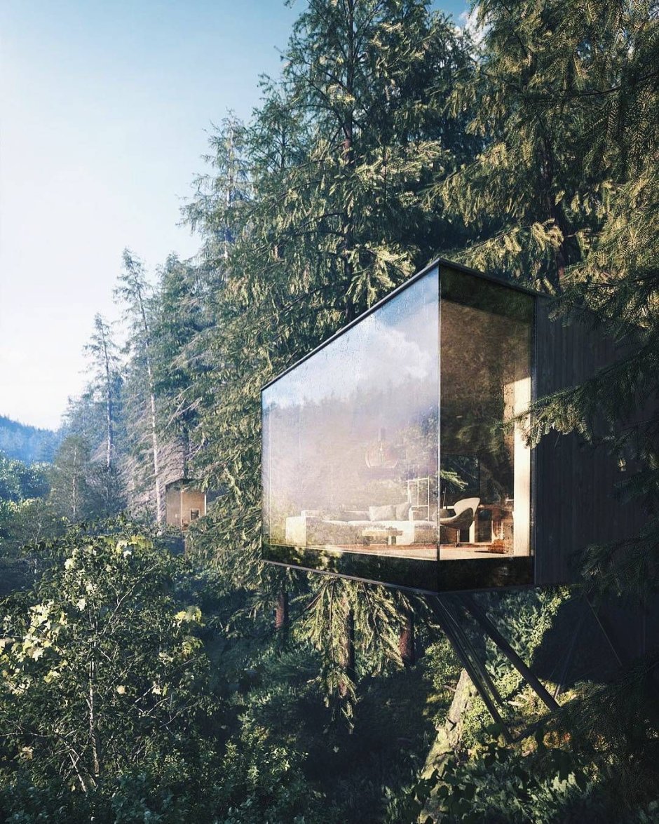 Стеклянный домик в лесу