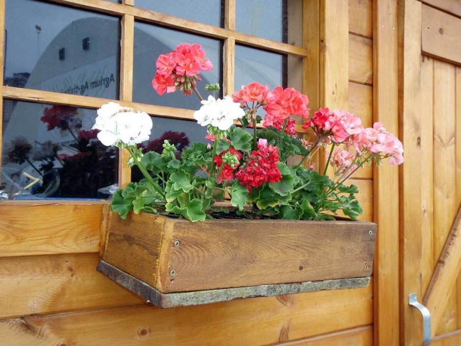 Деревянные балконные ящики для цветов