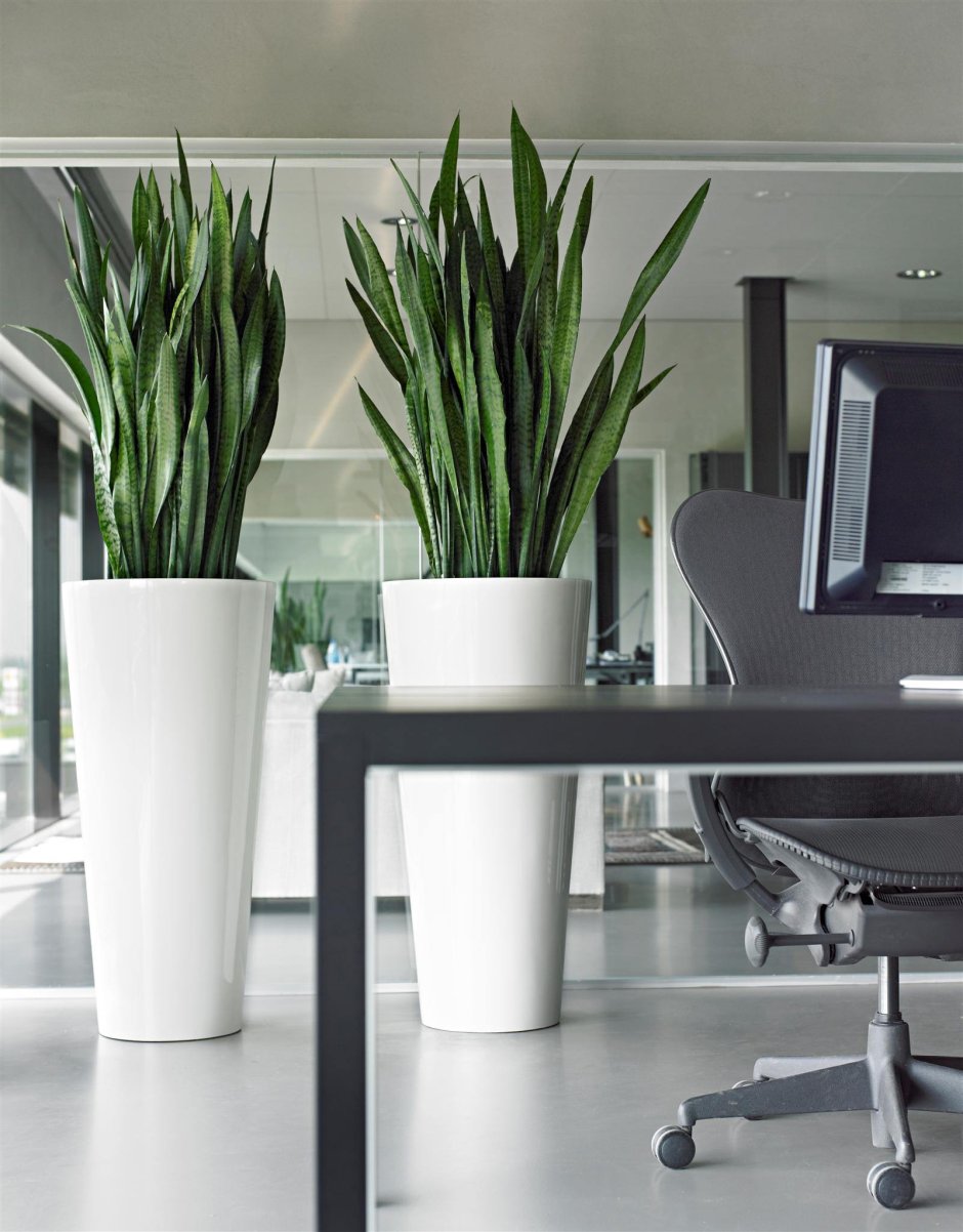 Loft кашпо напольное Design