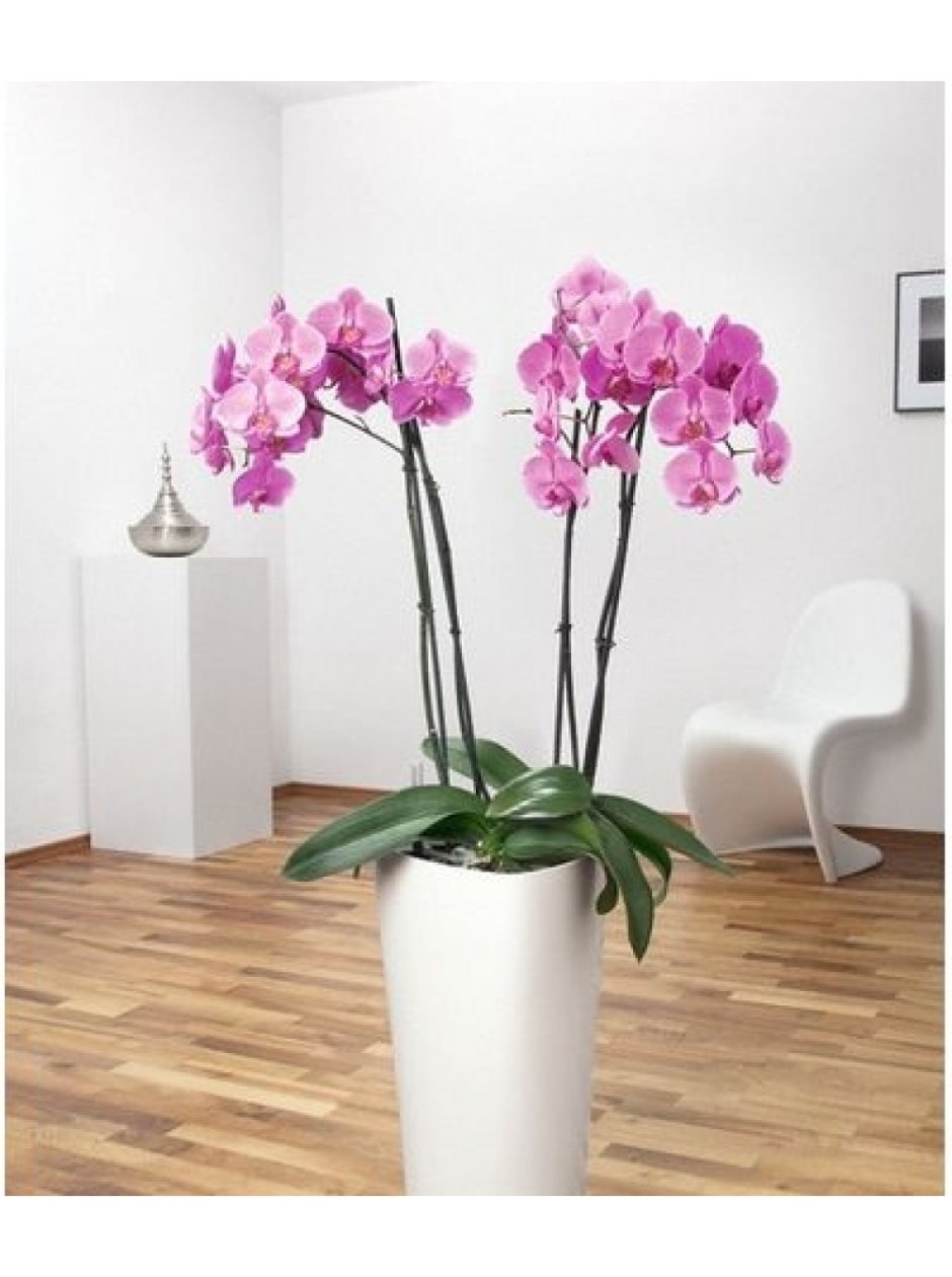 Напольная композиция из искусственных цветов