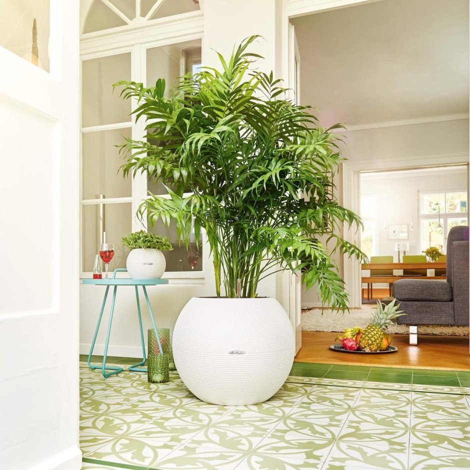 Кашпо Lechuza Rondo 40