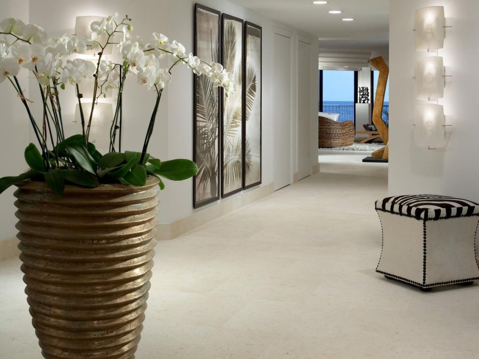 Цветок напольный