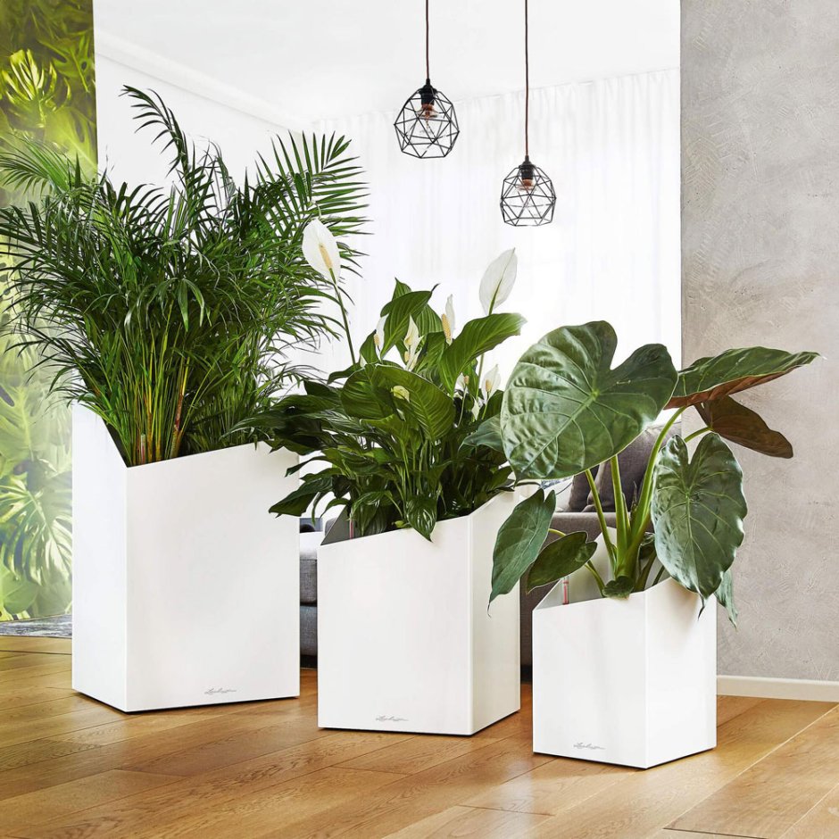 Кашпо Lechuza Rondo 40