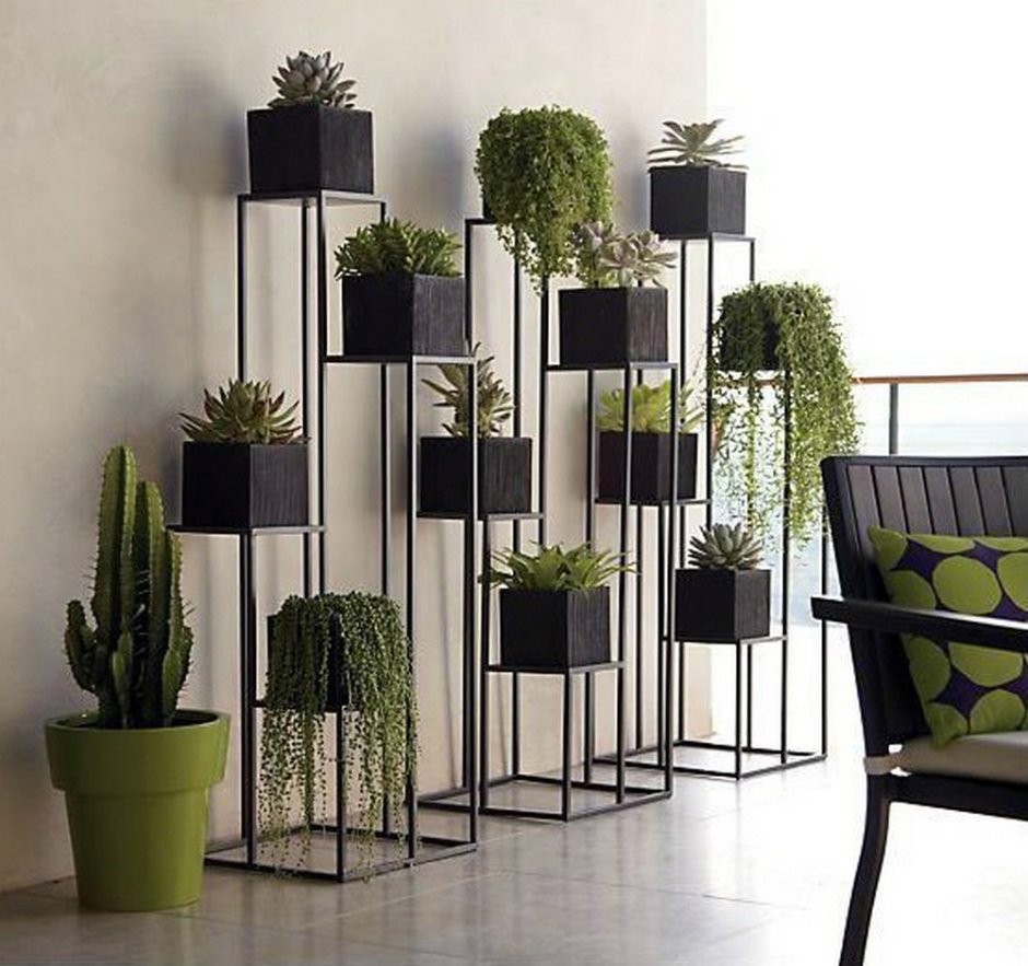 Комнатные растения в интерьере