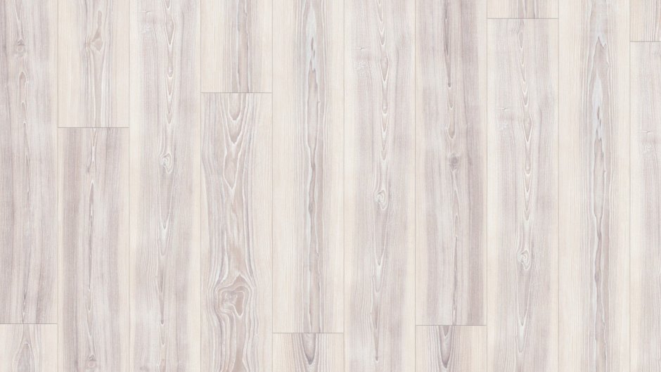 Plank 4v l1211-01807