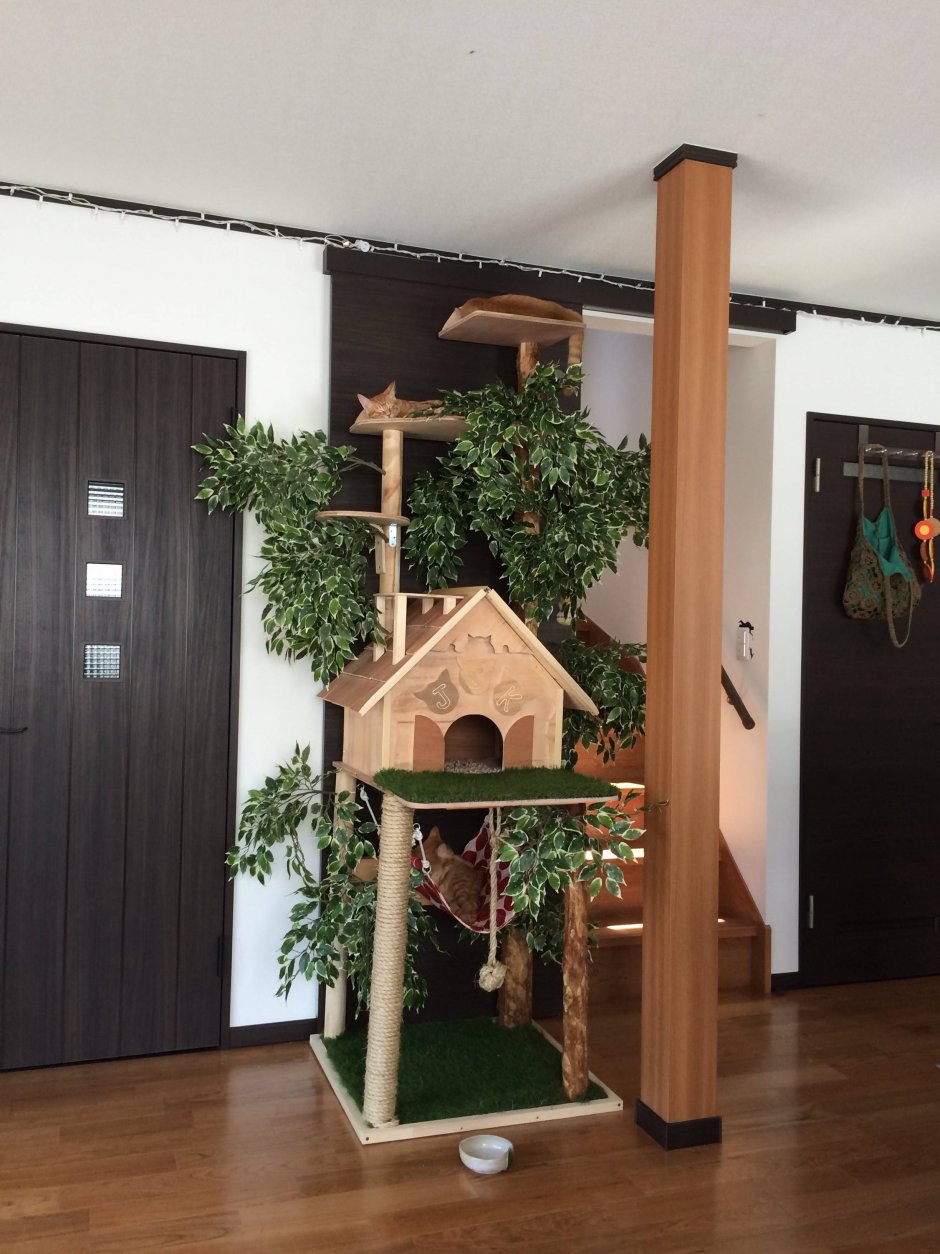 Стильные домики для кошек