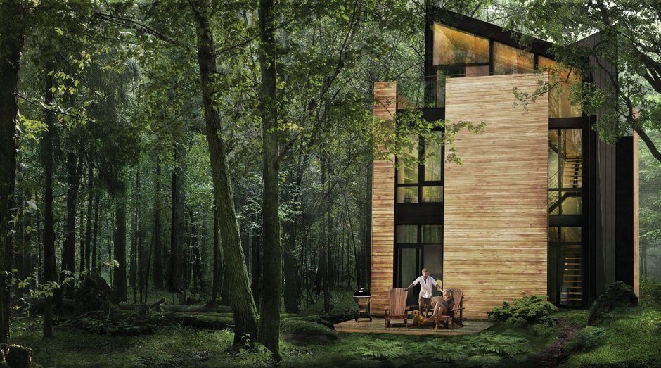 Дом в лесу архитектура