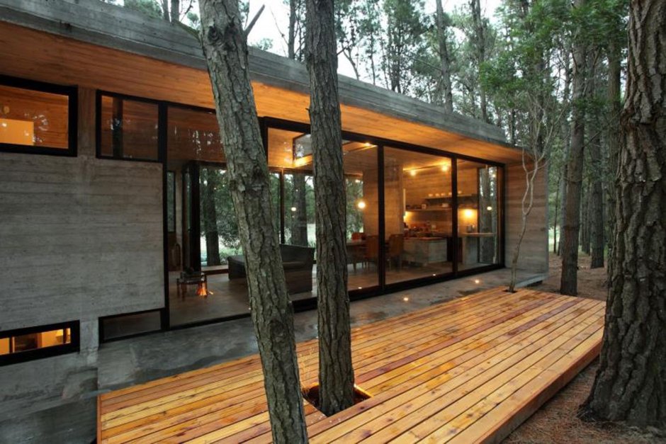 Стильный домик в лесу