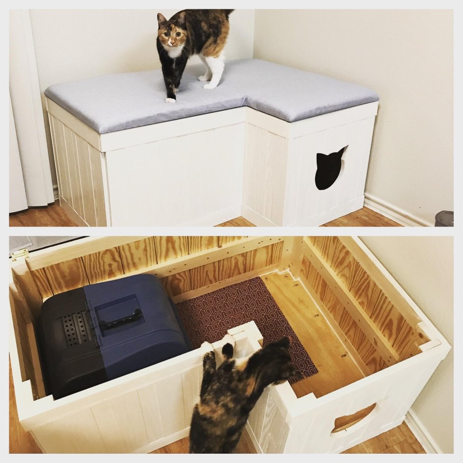 Ящик для кошачьего туалета