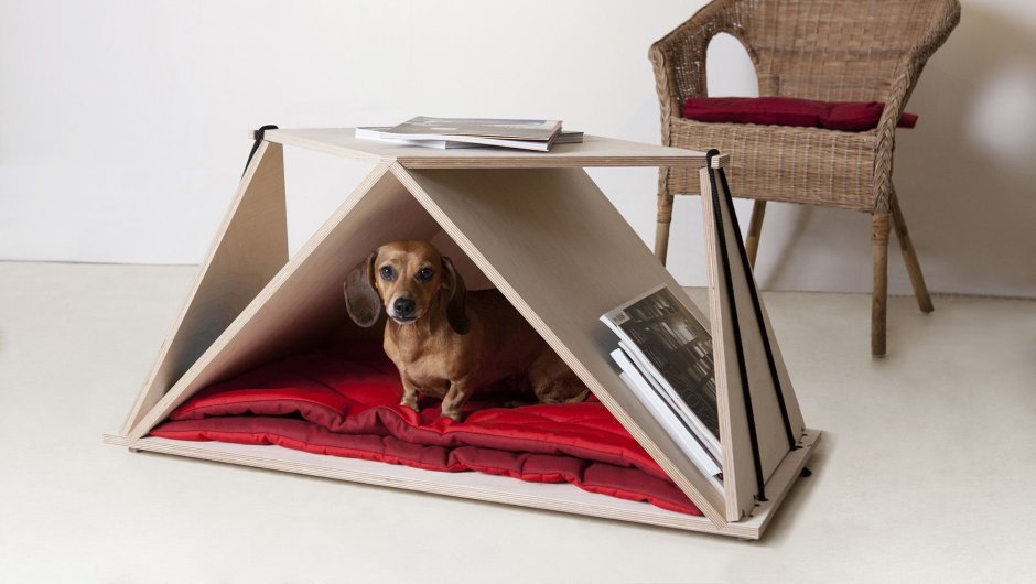 Необычные домики для собак в квартиру
