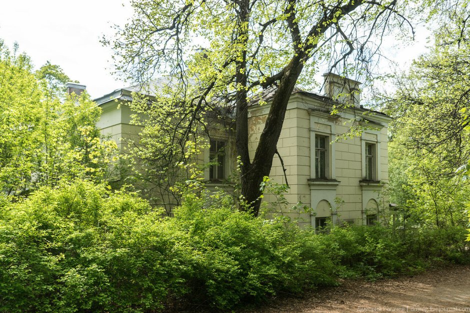 Усадьба Воронцовой-Дашковой Шуваловский парк внутри