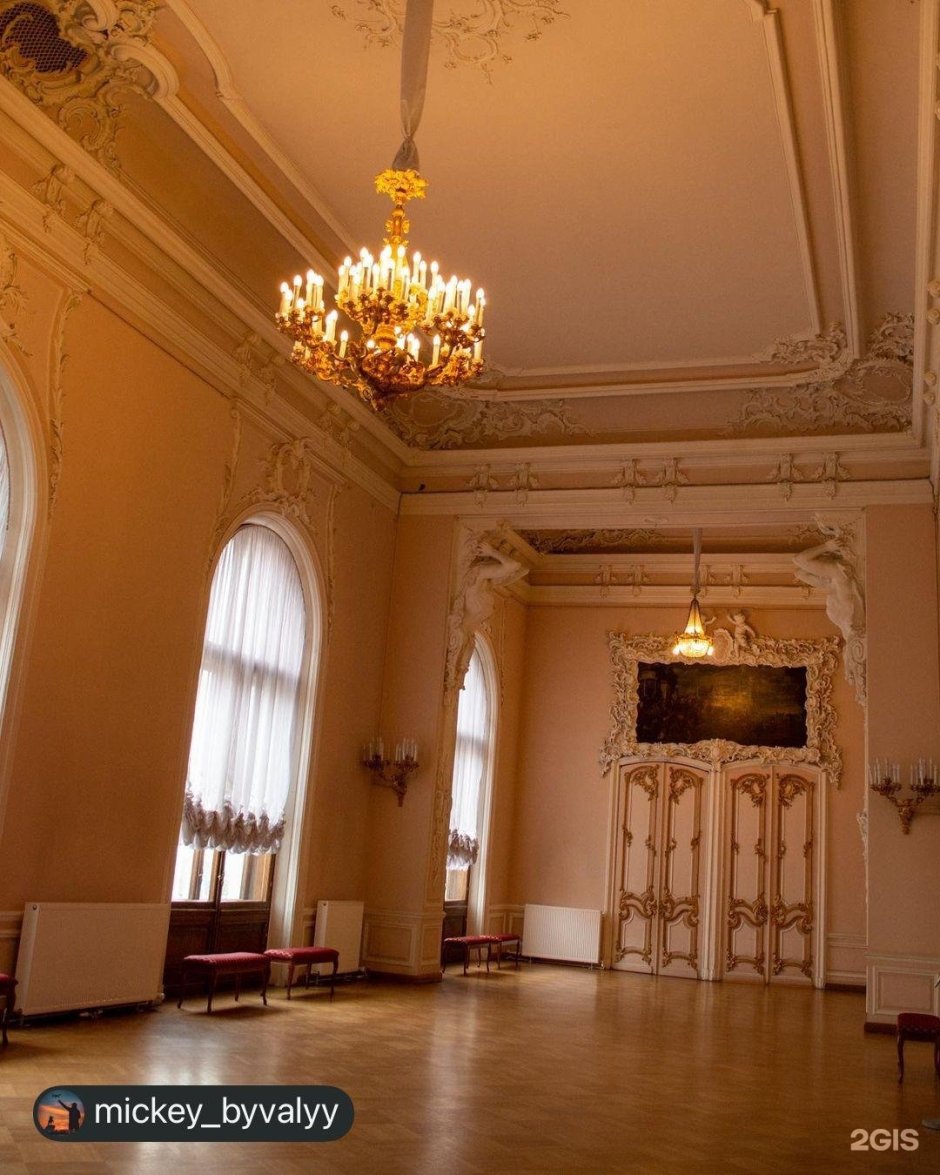 Аничков дворец малиновая гостиная