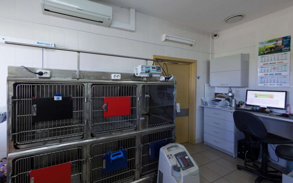 Animal Clinic building