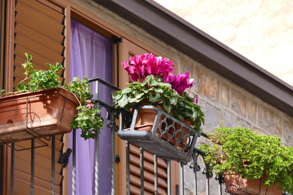 Цветущие балконы