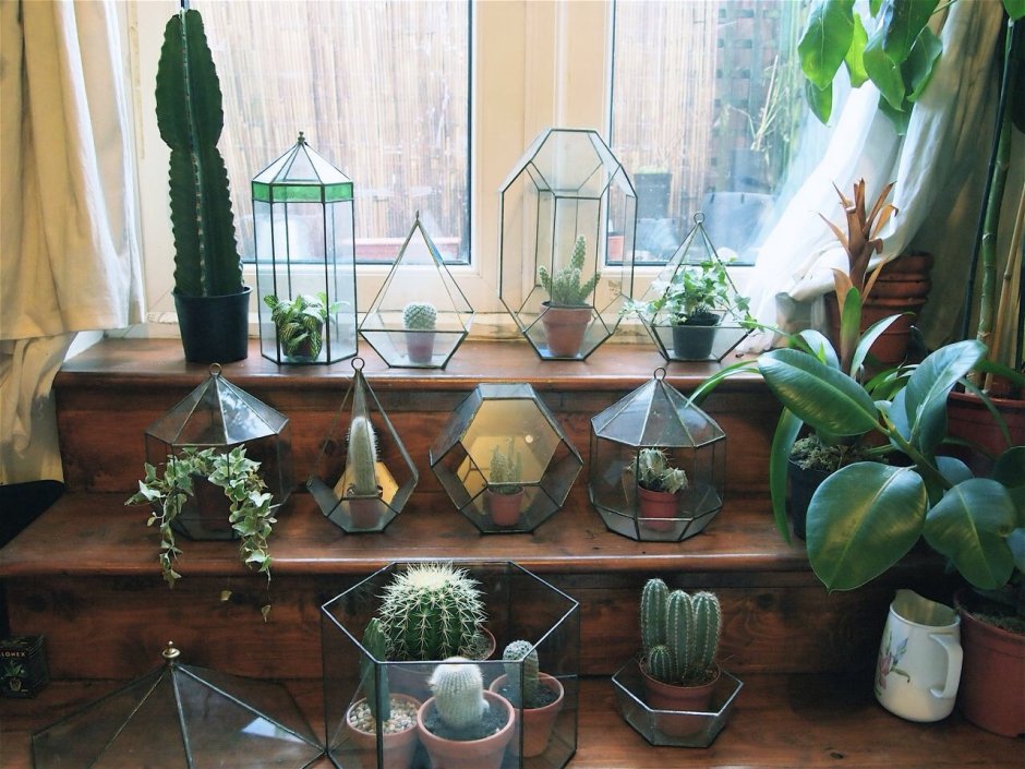 Флорариум в интерьере квартиры