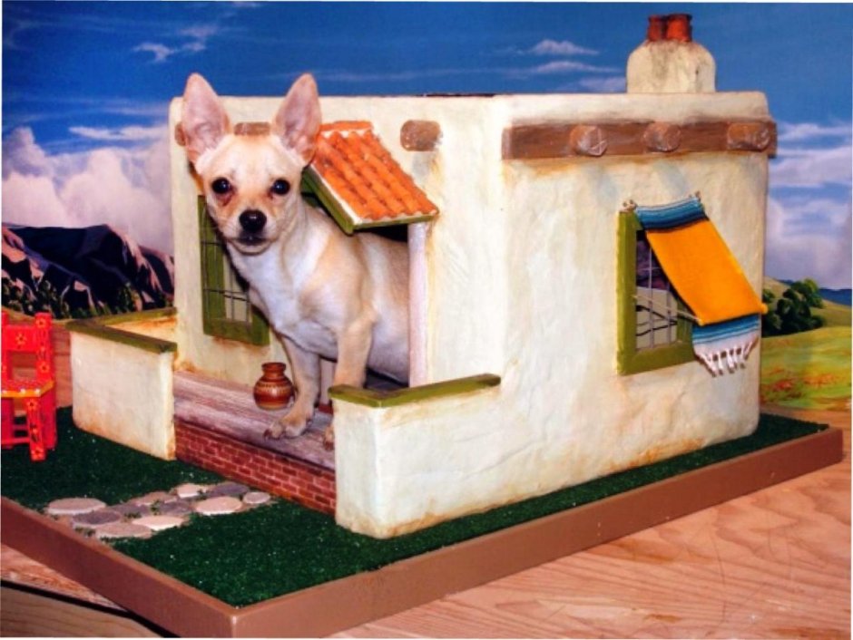 Конура собак Dog House