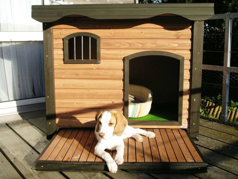 Мягкий домик для собаки