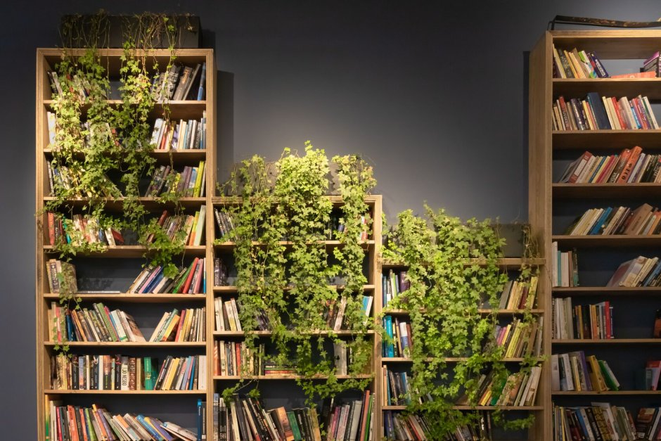 Книжный стеллаж с растениями