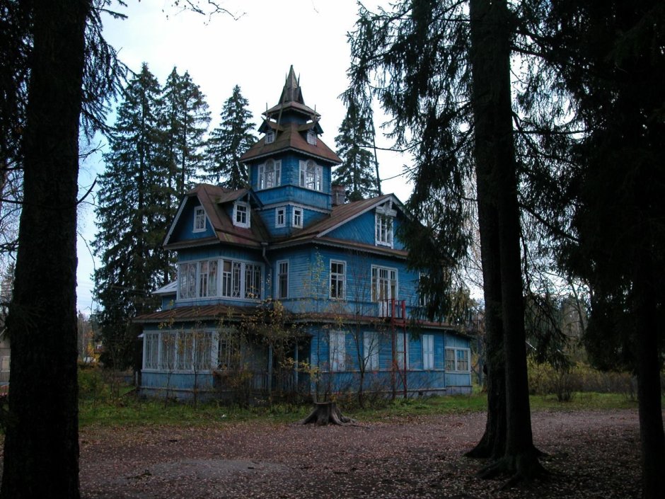 Сергей Васильев Вырица дворец