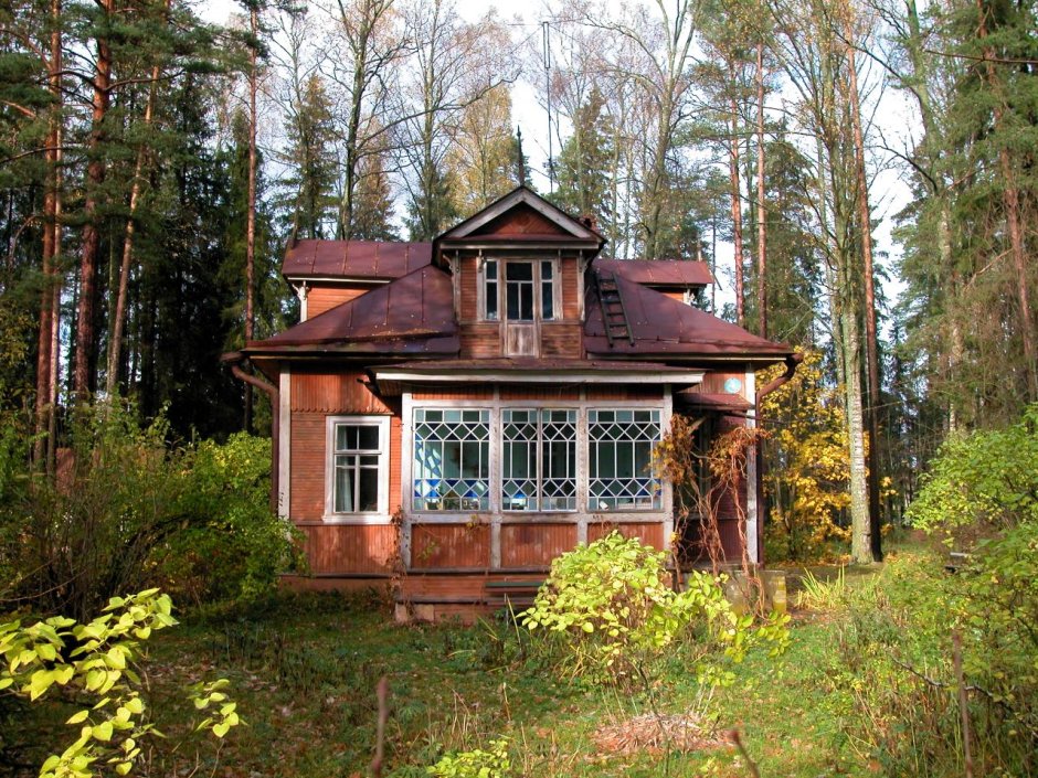Дизайныдворцы Фротон
