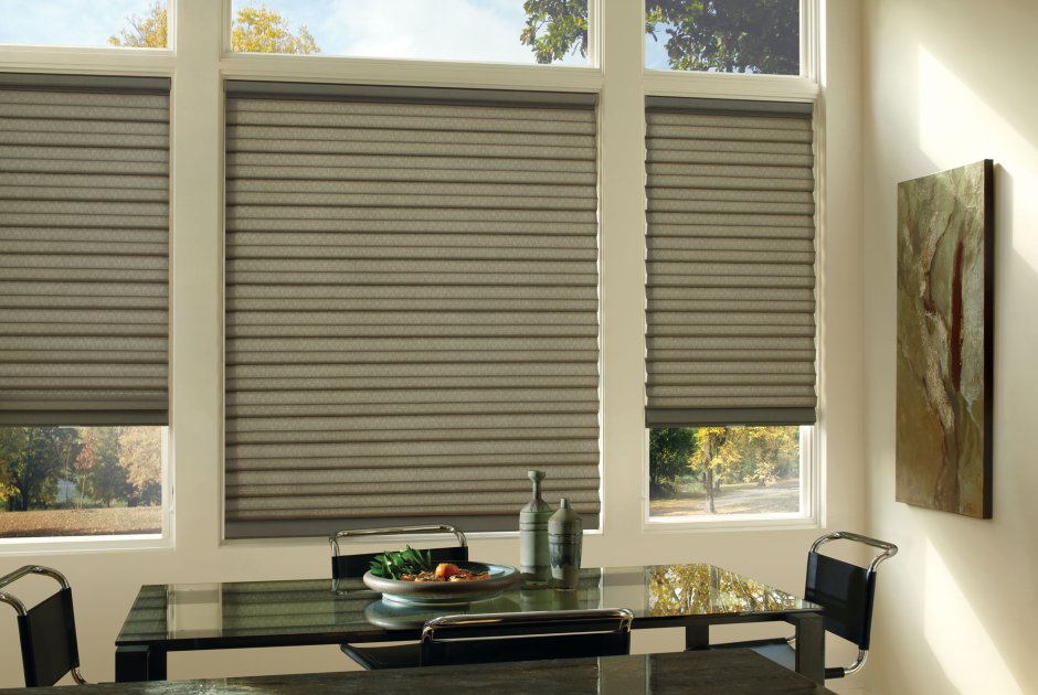 Hunter Douglas silhouette