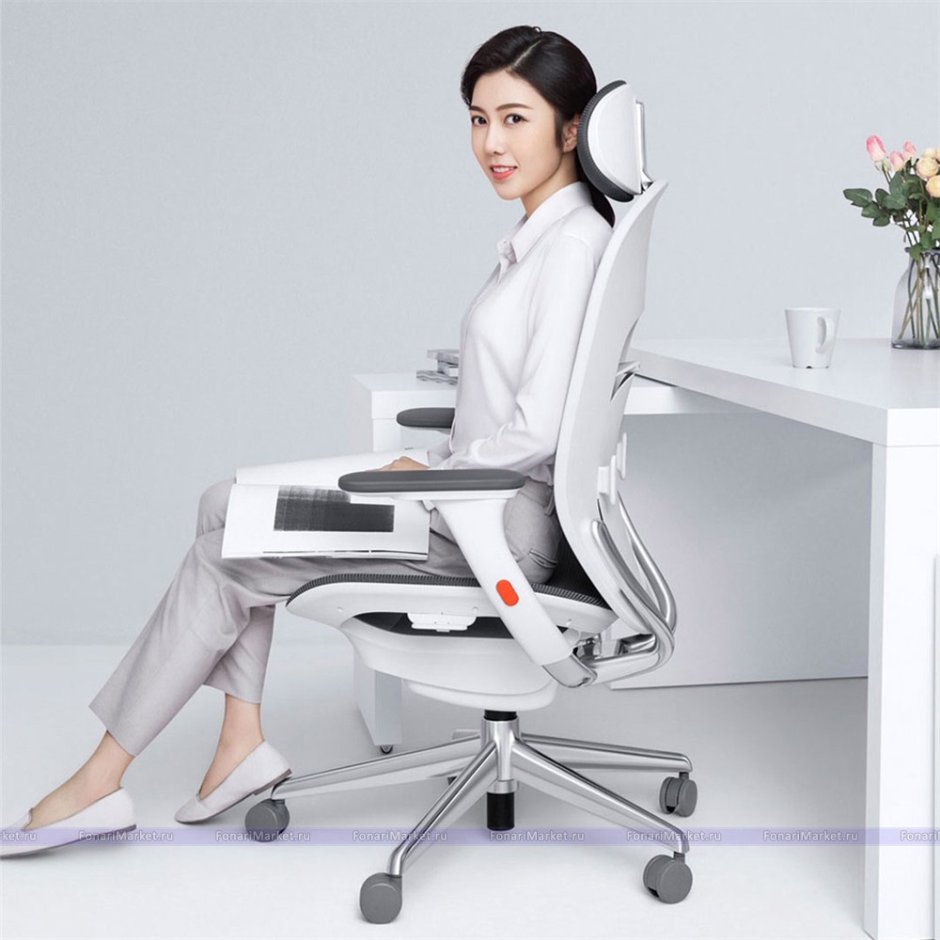 Кресло Xiaomi Ergonomic Chair