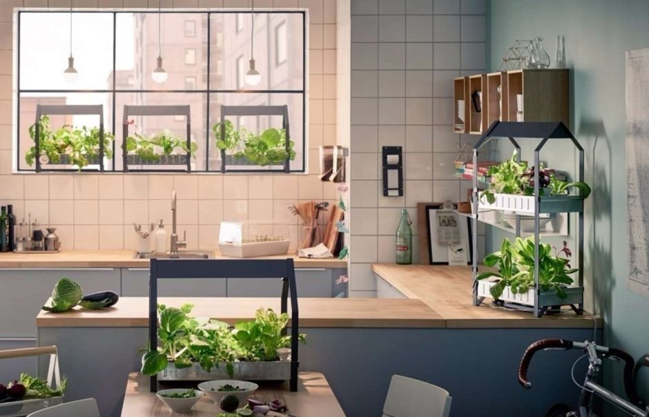 Живые цветы в интерьере кухни