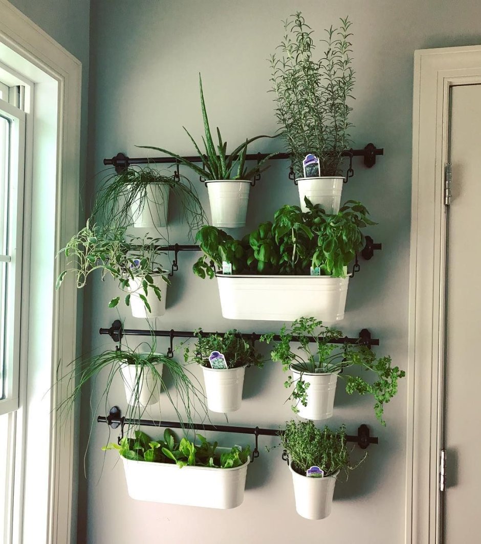 Гидропонная система Kitchen Garden