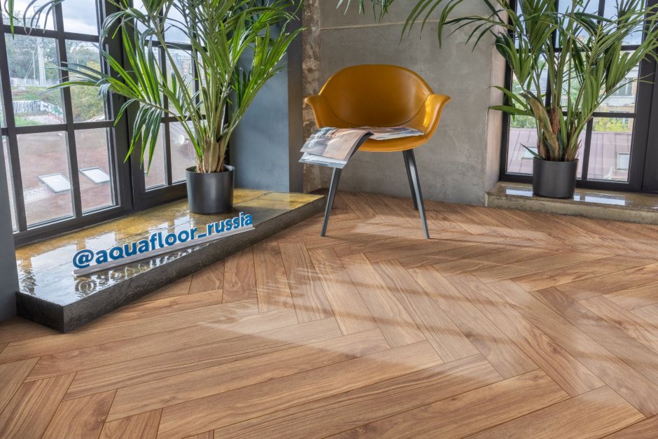 Classen Harmony Forte 47237 дуб Ванисто