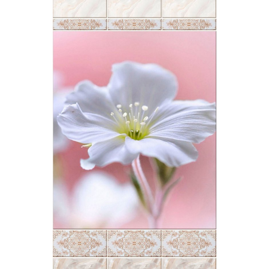 Панели ПВХ 3d novita «Магнолия бежевая» узор