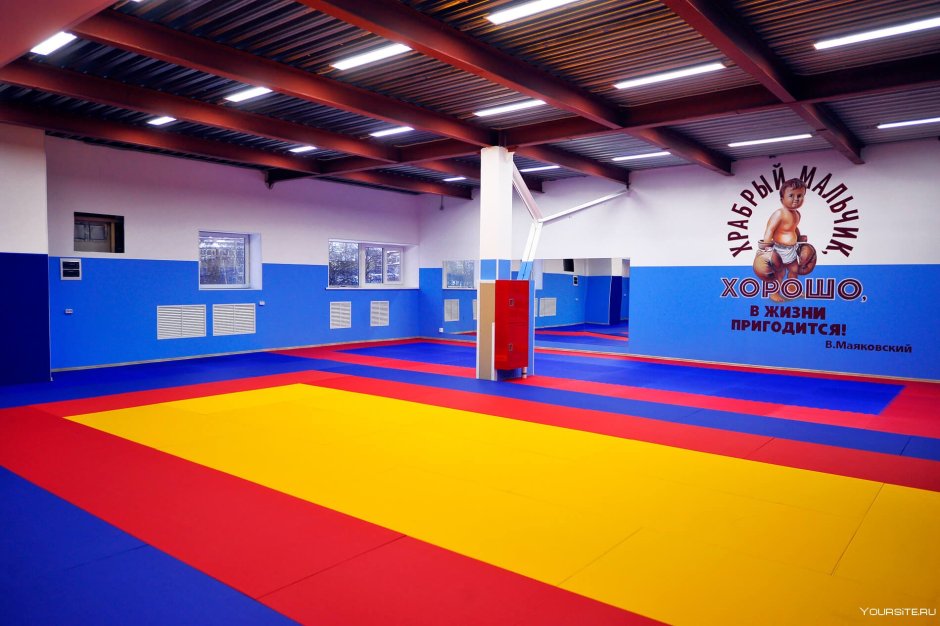 Vityaz Fight Новосибирск