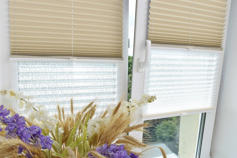 Штора плиссе "дуэт" Blackout/transparent, кремовый, белый (DF-200313-gr)